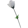 ROSA DEL AMOR TANGA BLANCO
