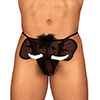 TANGA DE ELEFANT...